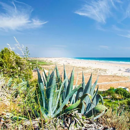 Apartman In Conil De La Frontera With Wifi *