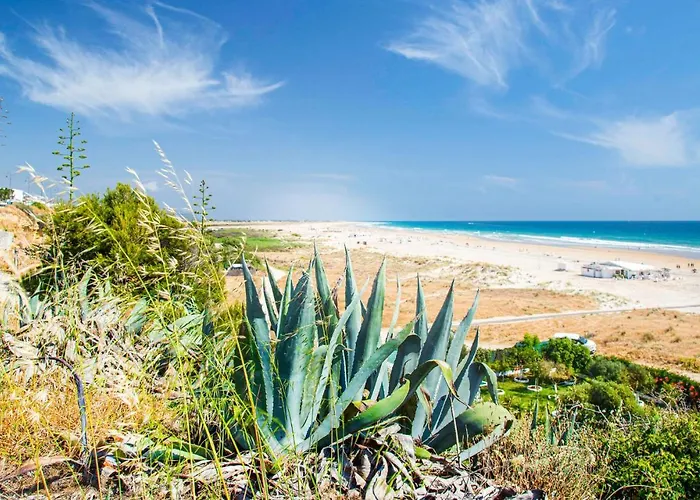 Apartament In Conil De La Frontera *